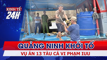 Quảng Ninh khởi tố vụ án 13 tàu cá vi phạm IUU | Kinh tế 24h