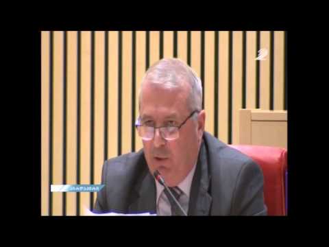 კარლო კოპალიანის გამოსვლა   / karlo Kopaliani speech