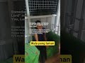 Wala Pang Laman Farming Angakingawitaypagibig Songlyrics Funny Angmgamisteryongliwanag Wala Pang Laman Farming Angakingawitaypagibig Songlyrics Funny Angmgamisteryongliwanag