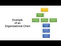 How to Create Organizational Chart in PowerPoint | Step-by-Step Tutorial