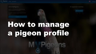 How to manage a pigeon profile in MyPigeons as a BENZING Live user