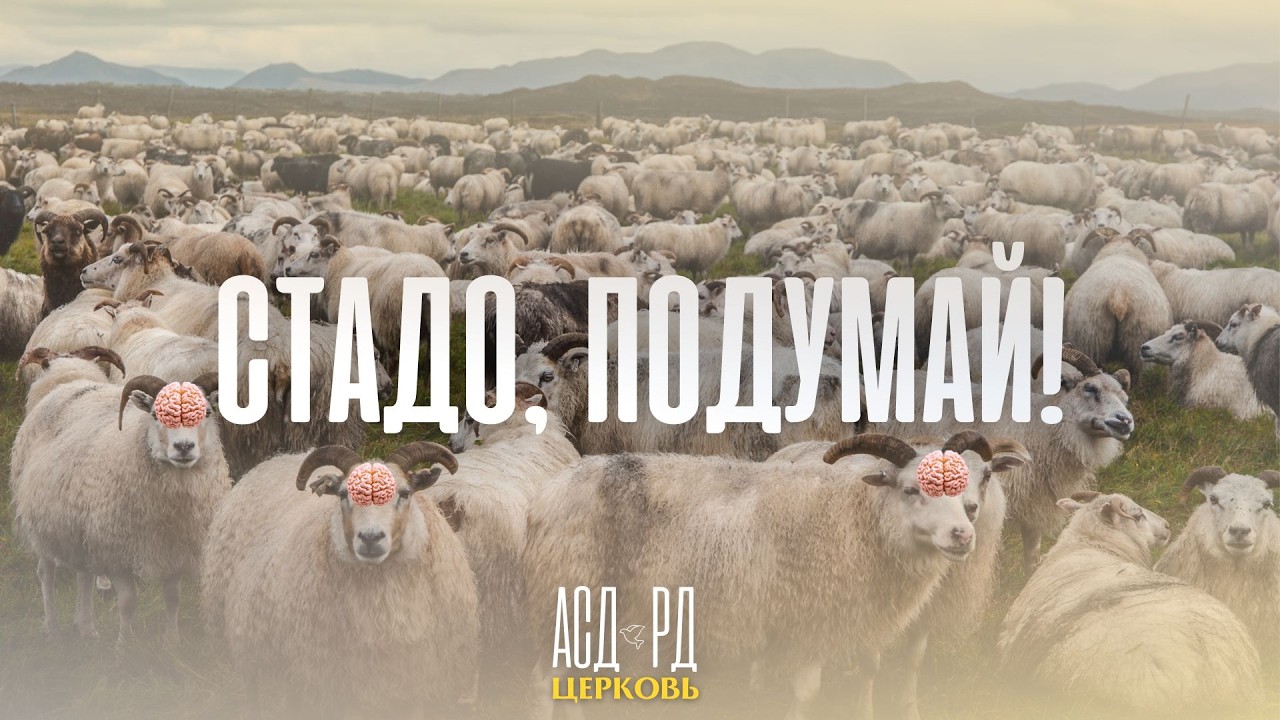 Стадо, подумай! |  Дронек Олесь  14.02.2026