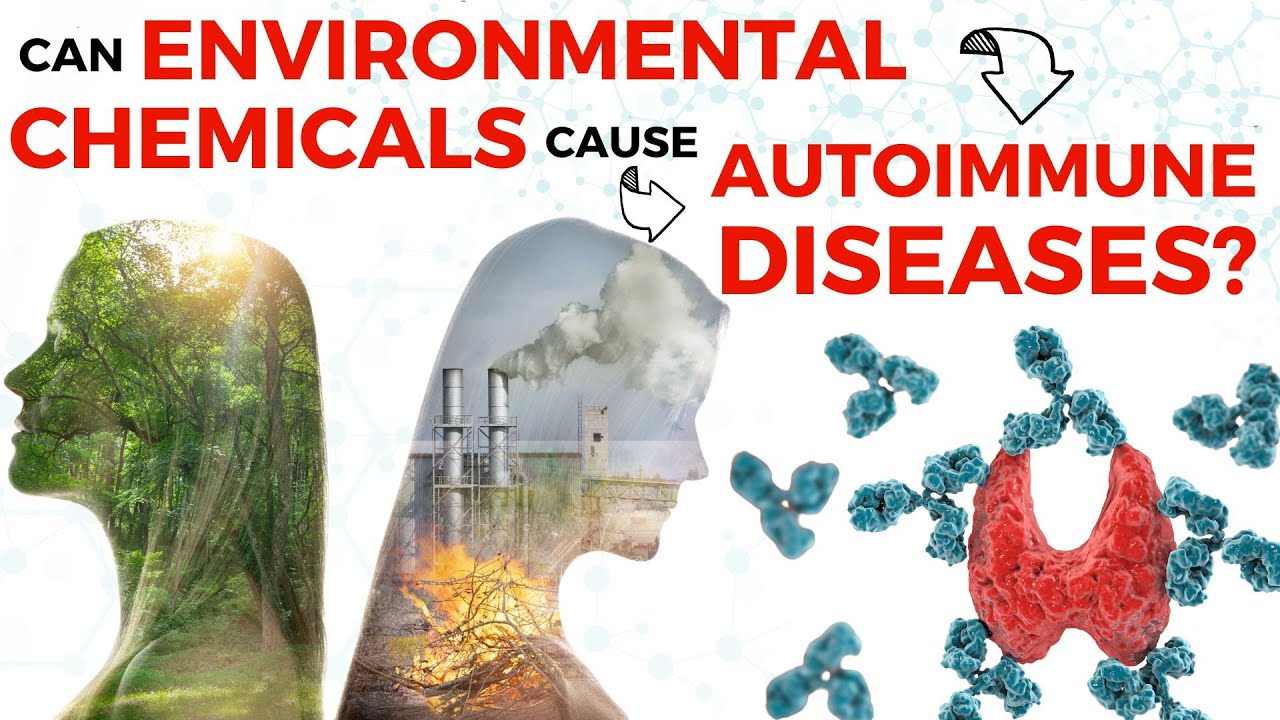 Can Environmental Chemicals Cause Autoimmune Diseases?