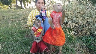 Yayar Confident Walking A Long Side Of The Lake With Shally