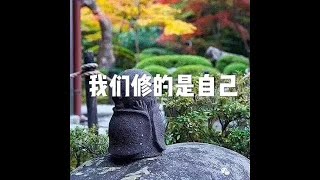 201603 我们修的是自己25037