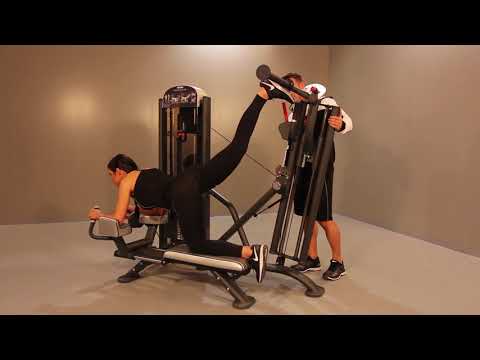 1FE094 &ndash; Master gluteus