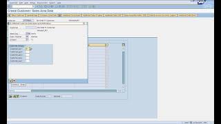 SAP SD Configuration 04 IMG Common Dist Chan Division & Sample Customer