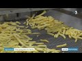 Un agriculteur normand se lance dans la production de frites