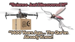  Qur’anic Miracle: The Tiny Mosquito That Proves a Big Truth 🦟