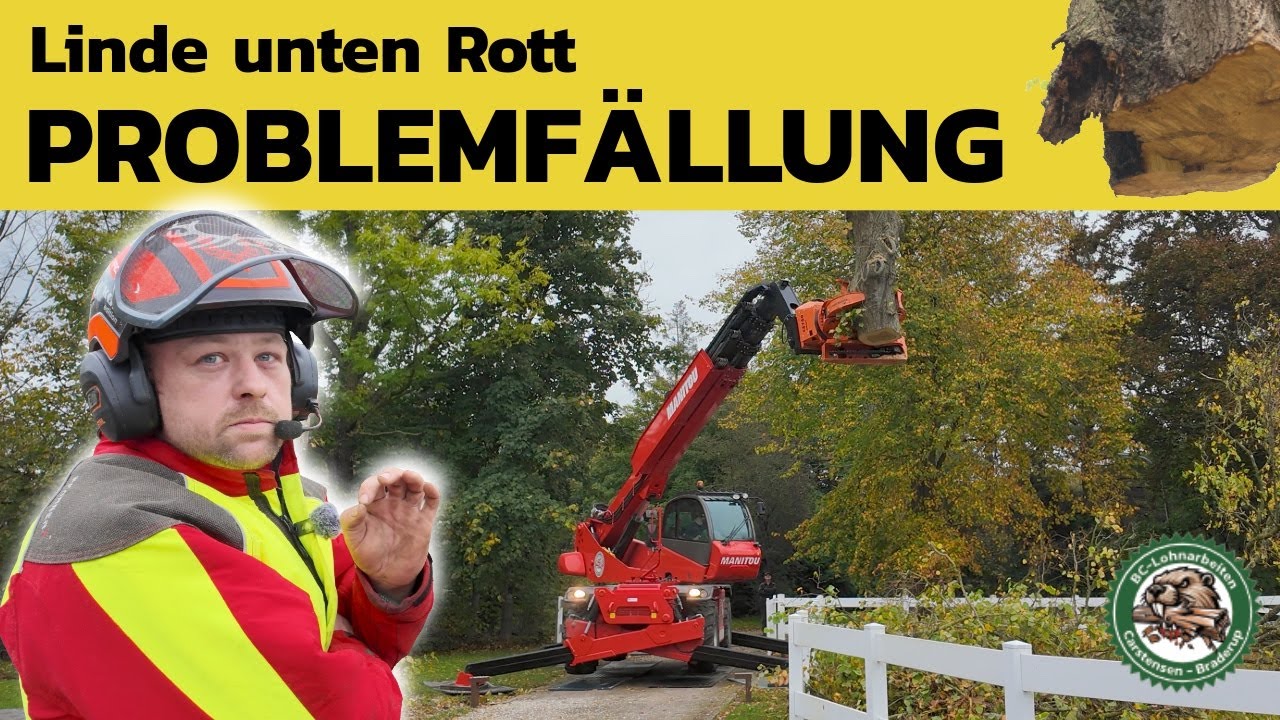 Problemfällung nah am Haus