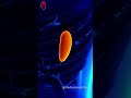 "About Spleen"