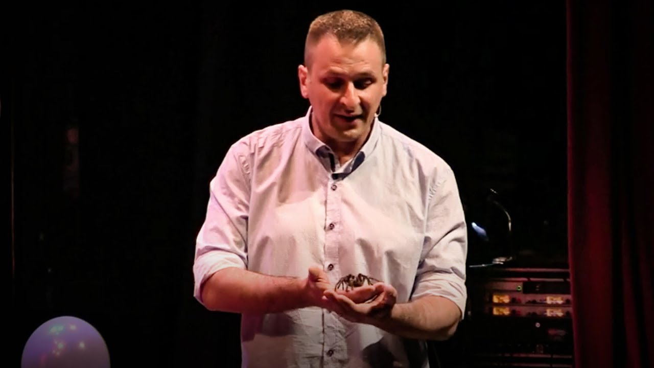 The secrets of spider venom | Michel Dugon