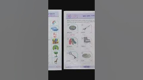 class 1/GK/ worksheet 4/Date 12-7-23