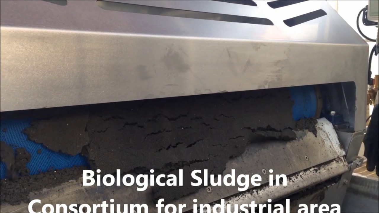 Bilogical sludge in Consortium for industrial area - YouTube