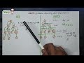 IDDFS - iterative deepening depth first search  problem | AIML | All Universities