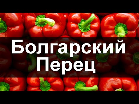 На что способен БОЛГАРСКИЙ ПЕРЕЦ? Вы будете удивлены 🌶️Болгарский перец польза и вред