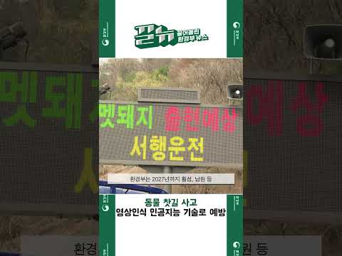 [끌어올린 뉴스] 동물 찻길 사고 영상인식 인공지능 기술로 예방 | 커피전문점 맞춤형 <strong>일회용컵</strong> 회수, 보상체계 첫발