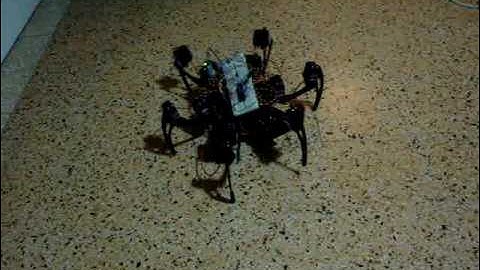 hexapod first steps