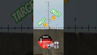 Longrange Airgun Hunting With Pellets  Fx Crown Mk2  Ultimate Airguns fxairguns