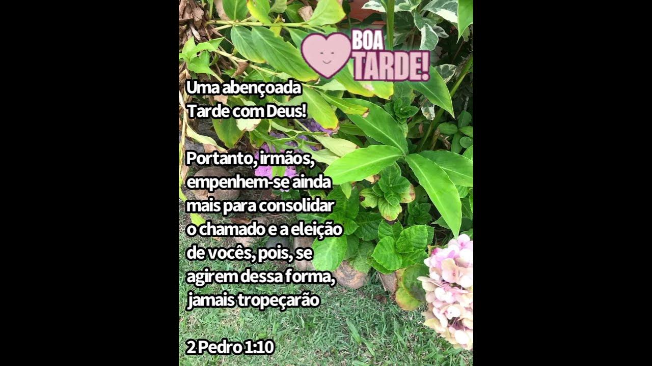 2-pedro-1-10-reels-jesus-religion-catolico-f-viral