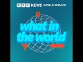Axolotls: How the endangered amphibian is making a comeback - BBC World Service