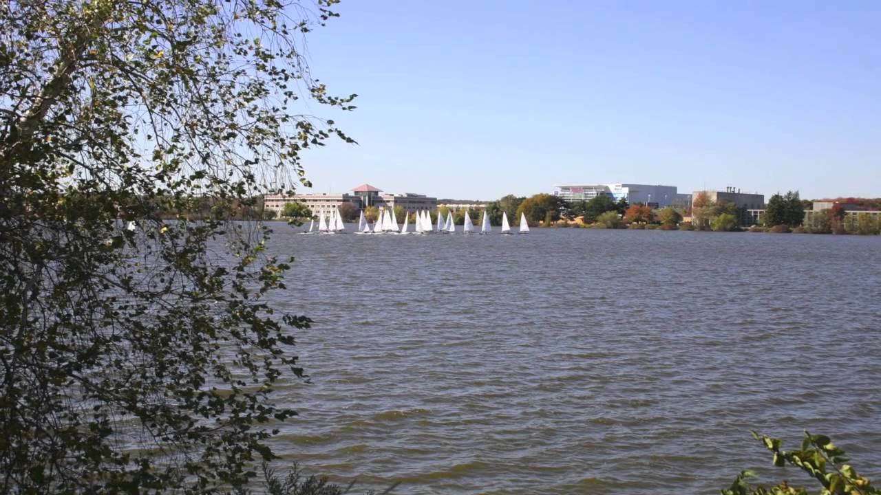 Dentist Wakefield (781) 2451593 YouTube