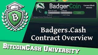 Contracts: Badgers.cash