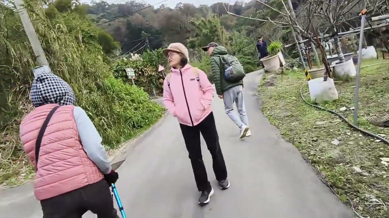 260111-0944-11  陽明山  陽峰古道  過湖山路二段岔路口