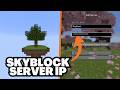 Minecraft 26.1.2 Skyblock Server IP Address