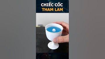 Bí mật trong chiếc cốc tham lam Pythagoras #shorts