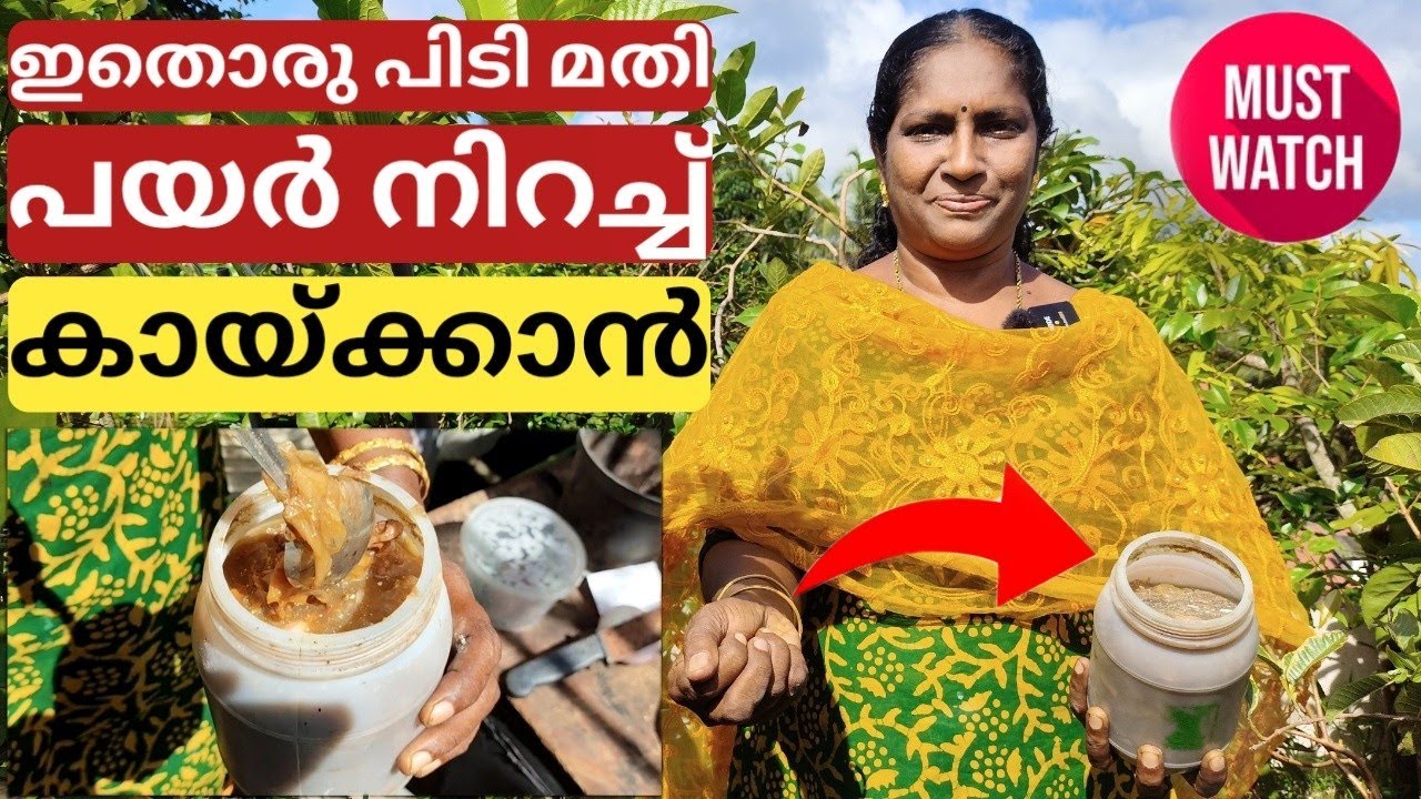 വള്ളി പയറിന്റെ വളം | Home made fertiliser for high yield of yard long beans | Malayalam