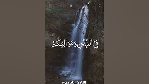 ادعوهم لآبائهم هو أقسط عند الله . بصوت القارئ إياد مهره