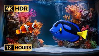 Ultra Realistic Coral Reef Tank: 4 Clownfish & 1 Blue Tang – 12 Hours of Relax – 4K HDR No Music