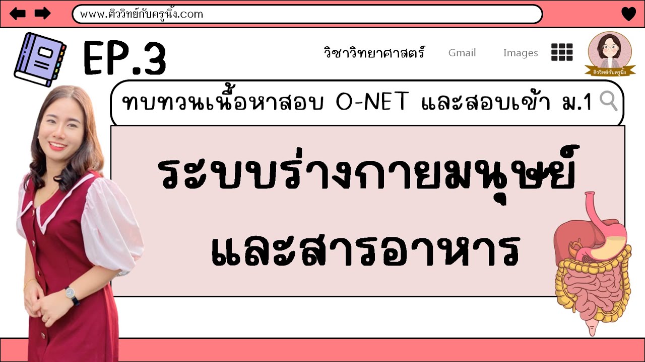 EP.3 ระบบร่างกายมนุษย์และสารอาหาร – ทบทวนเนื้อหาสอบ O-NET และสอบเข้า ม.1 | อัปเดตใหม่ระบบ สอบ onetเนื้อหาที่เกี่ยวข้อง