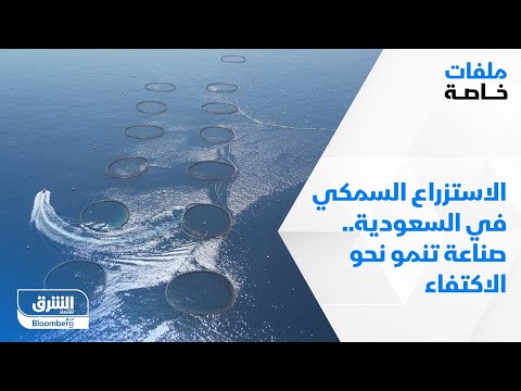 الاستزراع السمكي في السعودية صناعة تنمو نحو الاكتفاء ملفات خاصة