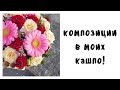 БУДНИ ФЛОРИСТА!.Композиции в моих кашпо\Показываю витрину.