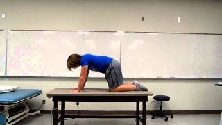 Quadruped Opposite Upper and Lower Extremity Extension