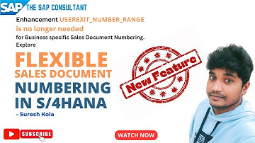 SAP SD | Flexible sales document numbering