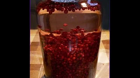Улучшить вкус самогона. Сушеные ягоды годжи.
