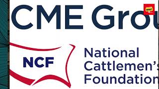 Full How to Pursue Continuing Medical Education and Professional Development Opportunities News