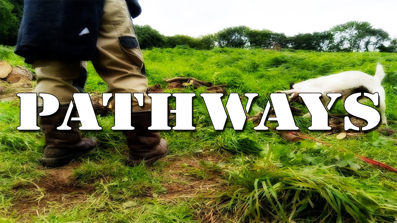 Pathways II - Tregaver Fibre