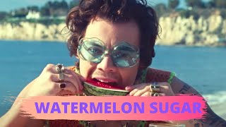 HARRY STLYES - WATERMELON SUGAR (INSTRUMENTAL KARAOKE) - SCORE OUT OF TEN REMAKE