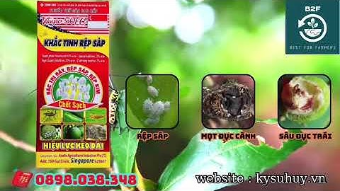 THUỐC SÂU VITAGRO 50EC – DIỆT RỆP GÂY HẠI TRÊN CÂY ĂN TRÁI hotline: 0345.37.88.39