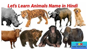 Let’s learn Animal names with pictures || Cute Animals Video || Cow, zebra|| Animal Video #cow#kids