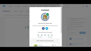 Commerce AI: Quick Look || Salesforce Trailhead #2024