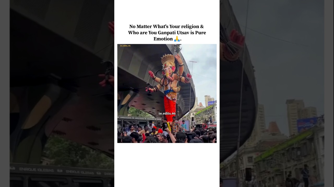 India without Politics ✨