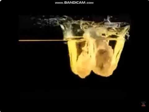 Iklan Sajiku - Kesempurnaan Tepung Bumbu (15s) (2009) @ Trans 7, SCTV, TPI, Indosiar, \u0026 RCTI