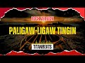 TitanBeats - Paligaw Ligaw Tingin (Rock Version) | Best OPM Rock Hits 2026