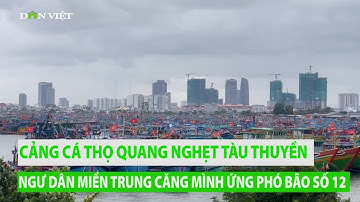 Cảng cá Thọ Quang nghẹt tàu thuyền, ngư dân miền Trung căng mình ứng phó bão số 12