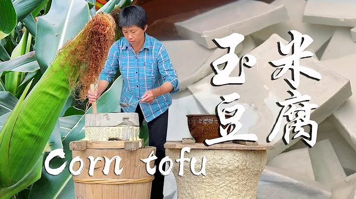 Great corn harvest, grandma picked to make corn tofu, the tofu is rich and sweet! - DayDayNews